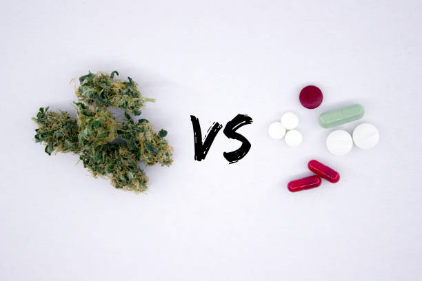 Medical Marijuana Dispensary vs Recreational Weed Dispensary: Which Meets Your Needs?