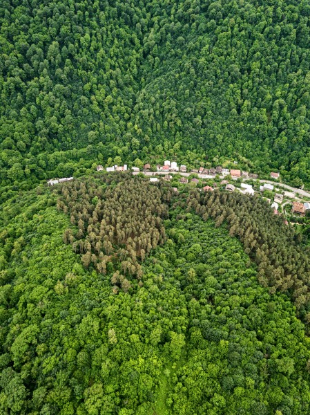 Europe is becoming greener