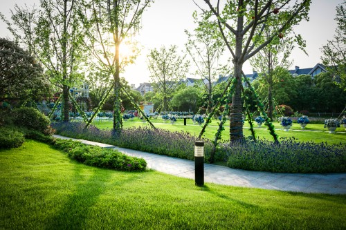 UK encourages biodiversity in parks