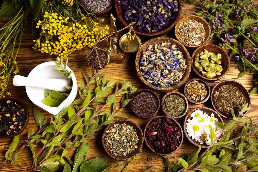 Naturopathy Treatment: Natural Modalities for Holistic Wellness