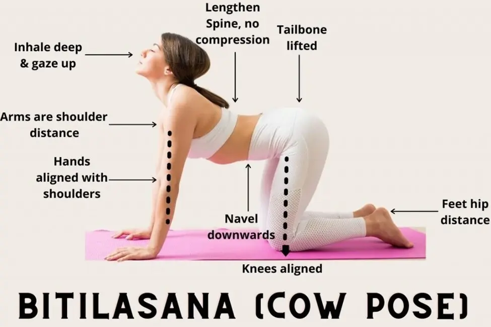 Yoga for Stress: 5 Gentle Poses to Calm the Mind