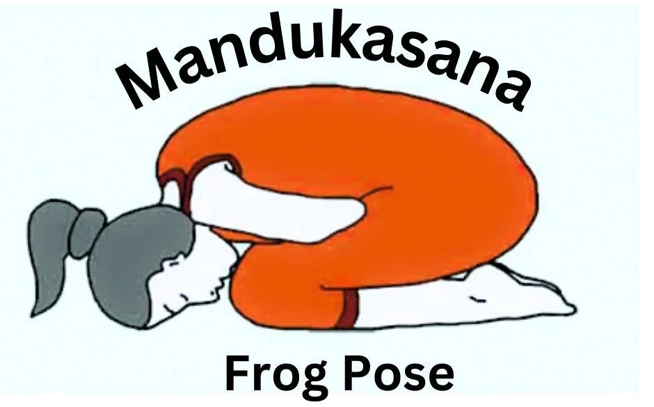Mandukasana (Frog Pose): Key Health Benefits