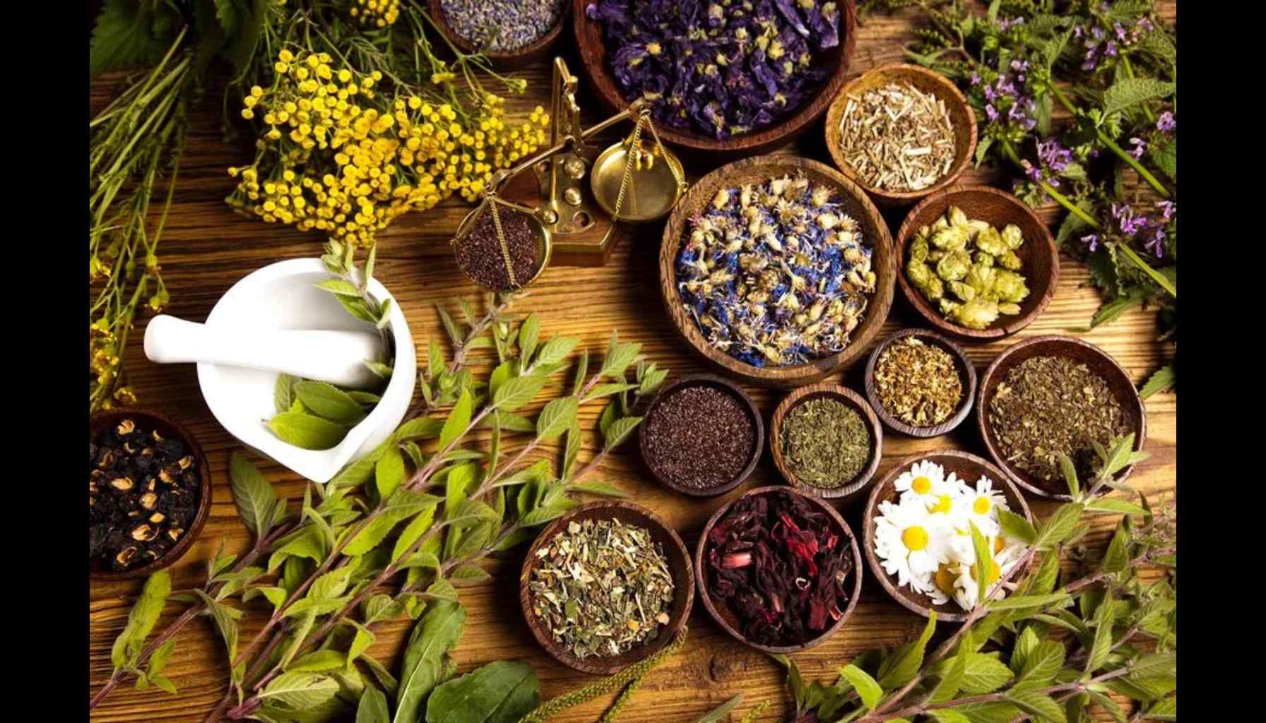 Naturopathy for Anxiety: Holistic Wellness