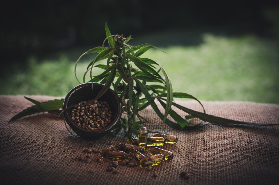 CBD Oil in Beauty Products: Everything You Need to Know