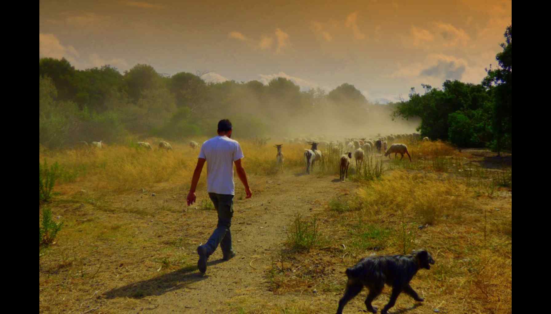 Animal Hunters Become Animal Protectors in Indonesia
