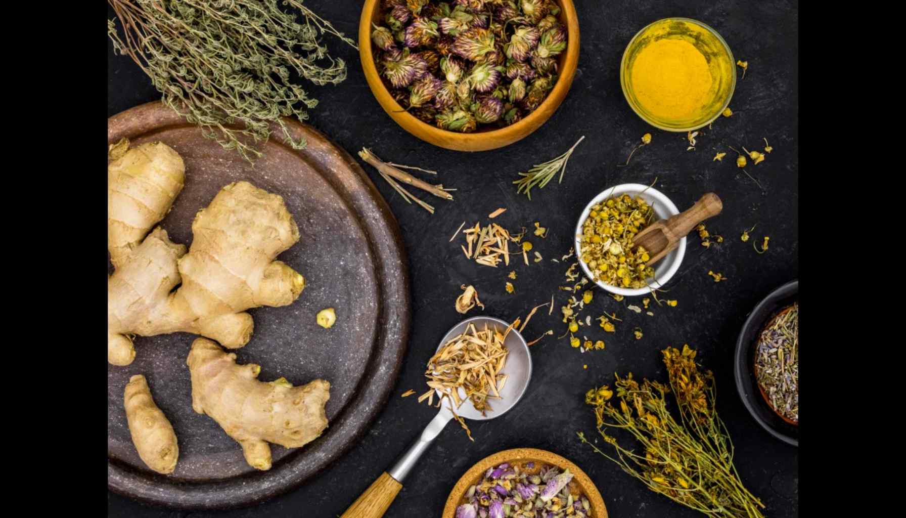 Herbs and Spices that support Immune Health