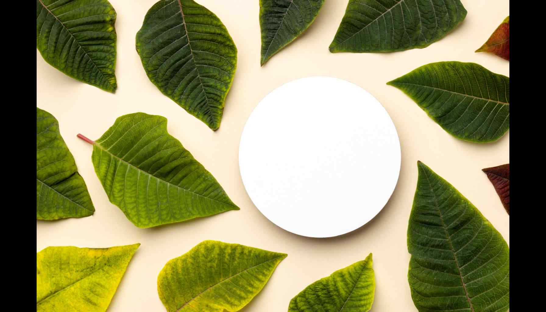 Circular packaging for sustainability