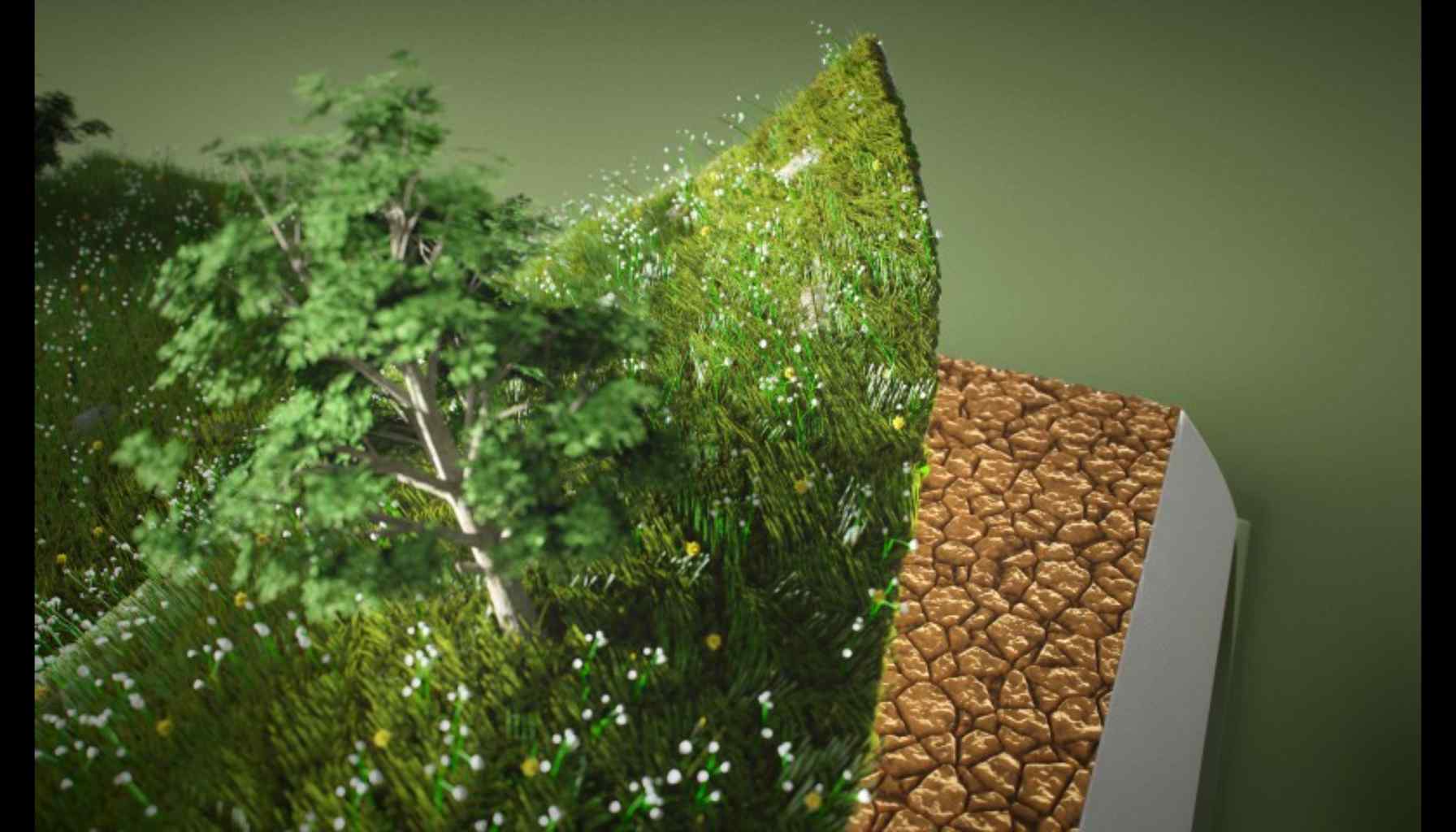 Carbon Sponge: A Natural Solution to Climate Change