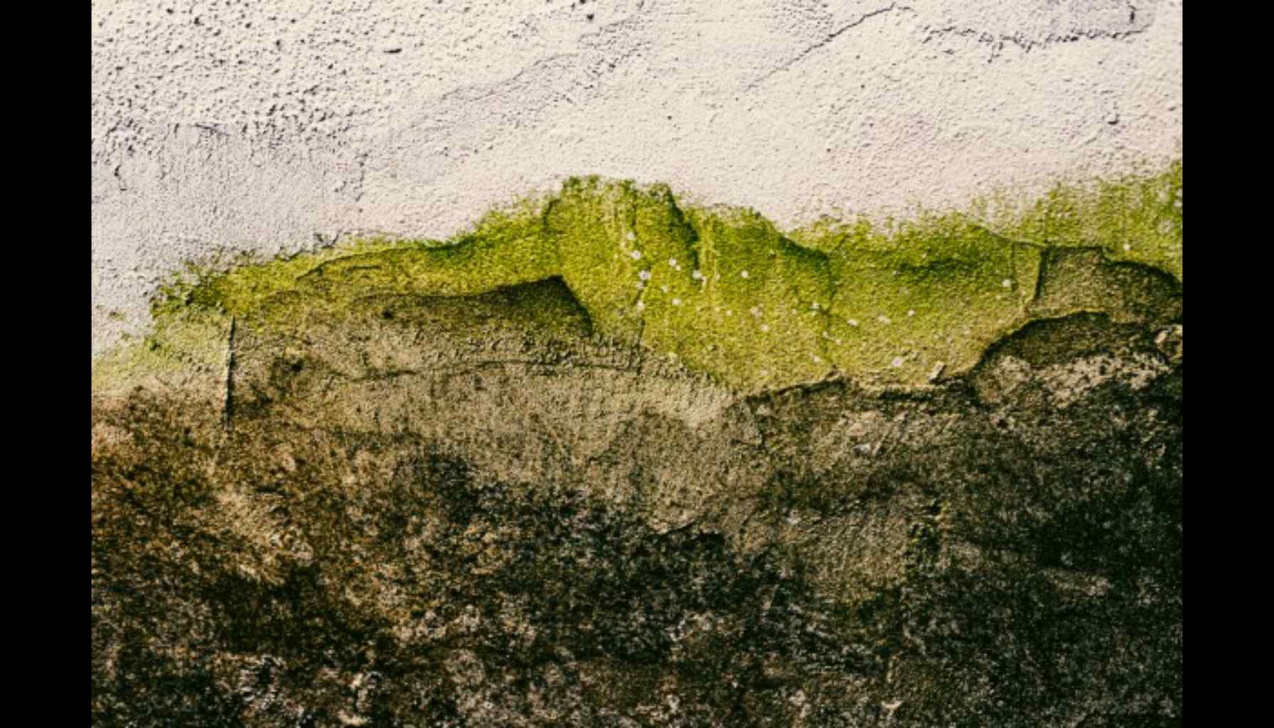 A Dutch startup is transforming ordinary grey buildings into living green surfaces