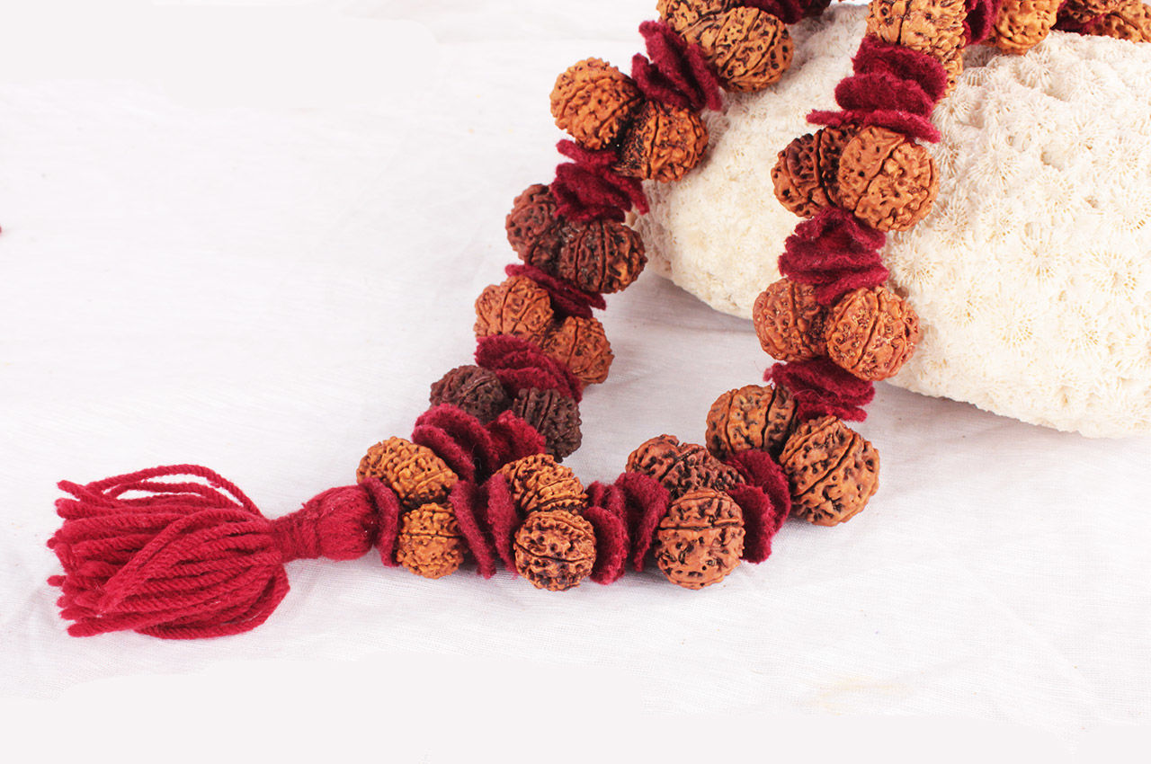 Rudraksha Therapy: These cosmic seeds do Divine healing