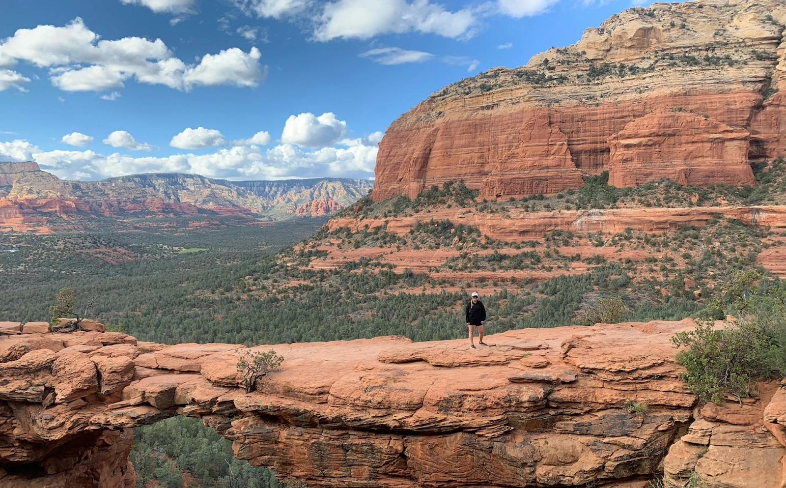 Where Can I Find Mental Health Treatment for a Loved One in Drug Detox in Arizona?