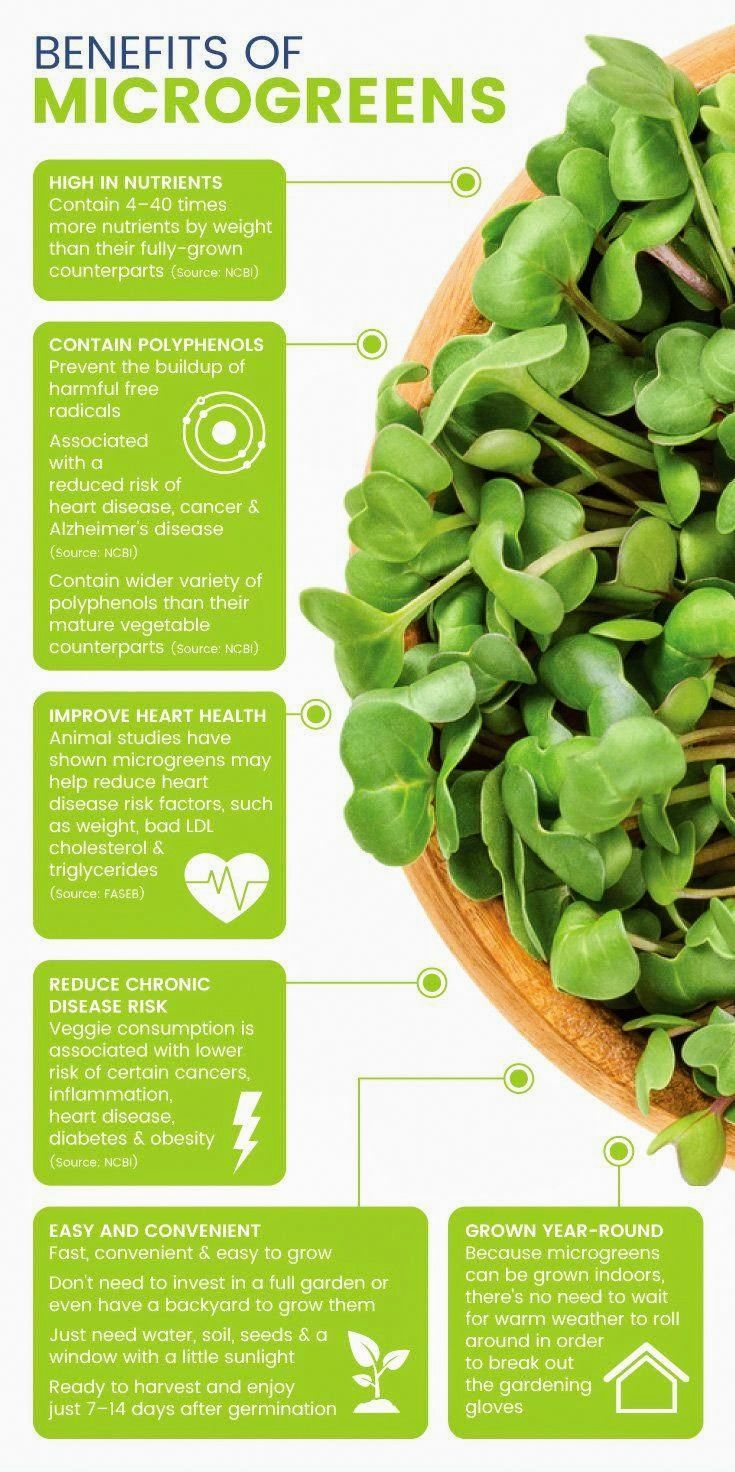 Healing with Microgreens: Tiny Packets of Nutrition| Life Positive